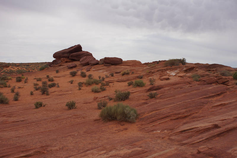Canyon ground in Utah II by Seluias-stock