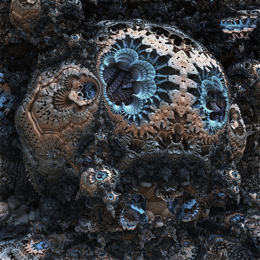 Bloom Bulb by HalTenny