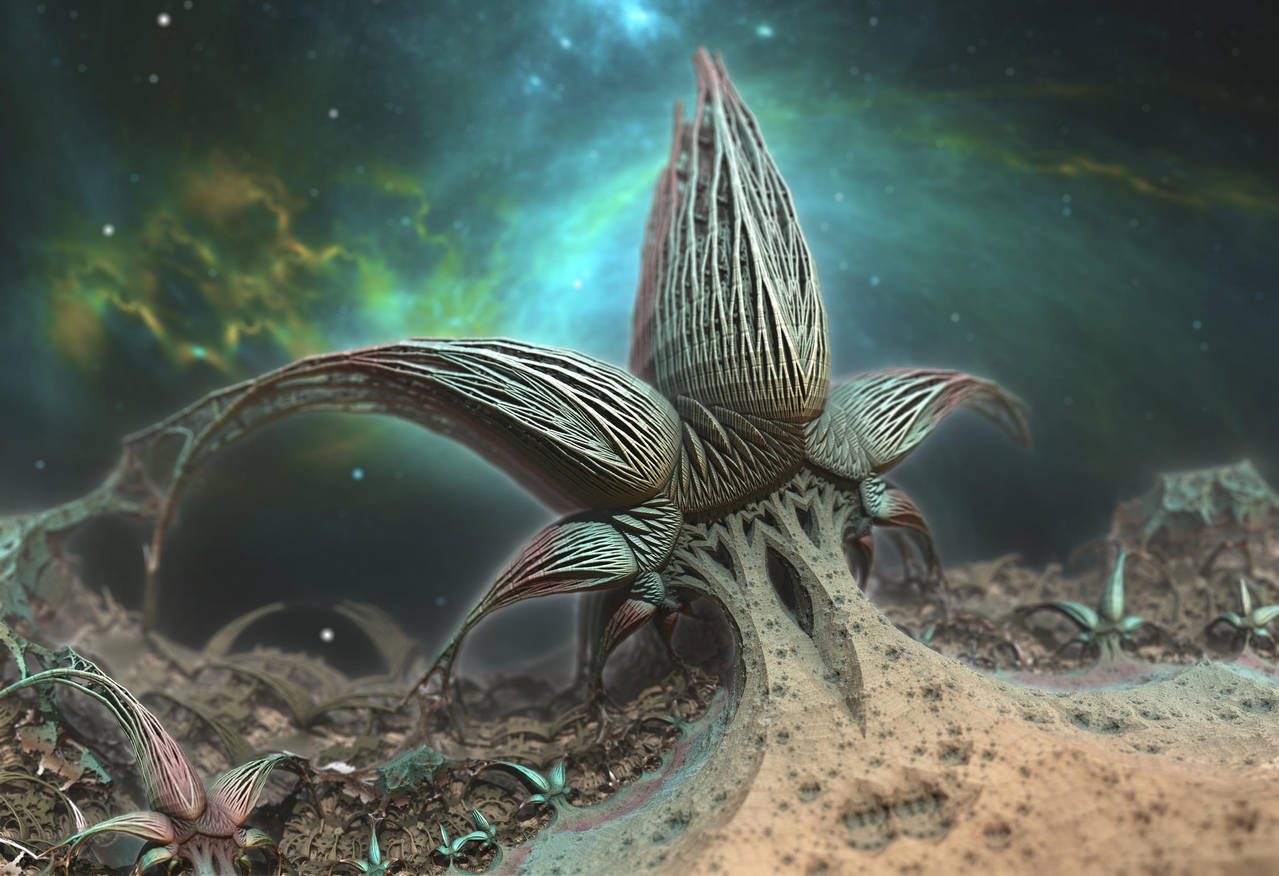 Alien Star Plant by HalTenny