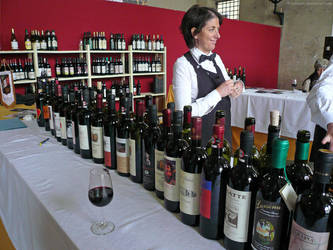 Lucca wine festival by bobswin