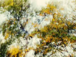 mylifeinthebushofghosts by miclart