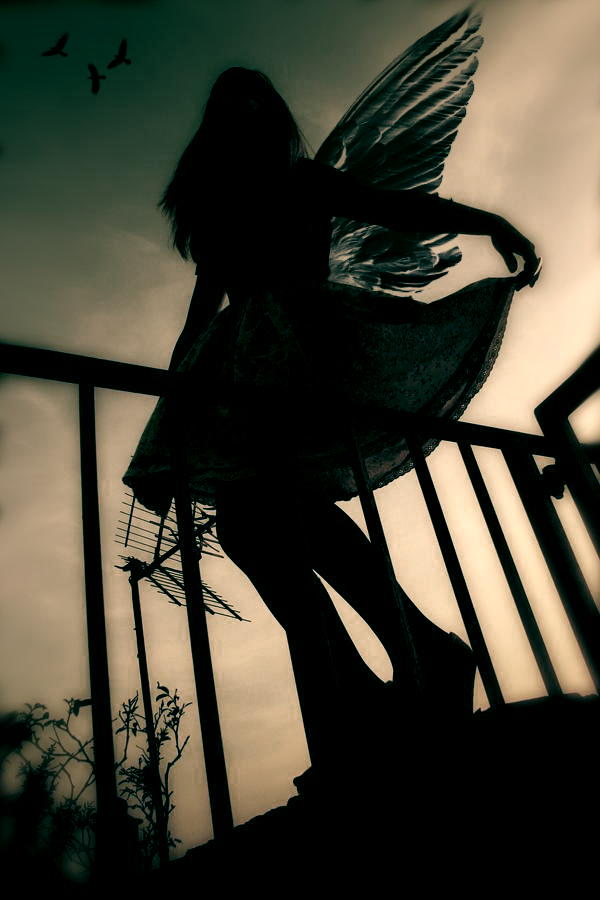 the ride of your life by nymphadoora