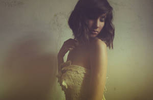 golden evening by Crazy-retro