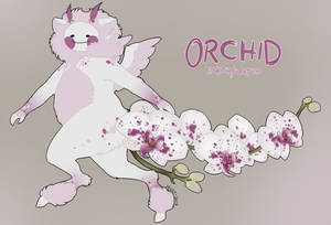 Pupuko MYO - Orchid by jrusti Pupuko MYO - Orchid by jrusti