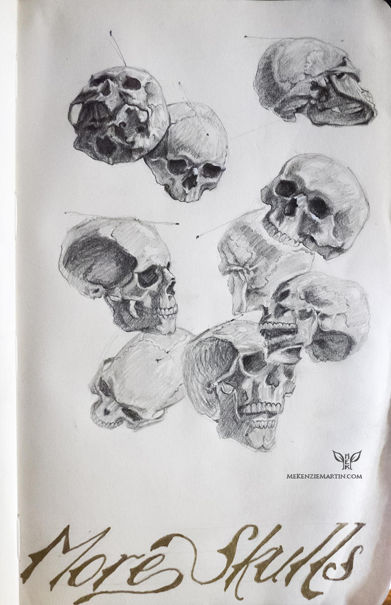 Study: More Skulls by DM7