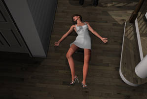 The collector 16 by LordOfTheCarry