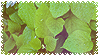 plants uwu by stampswhore