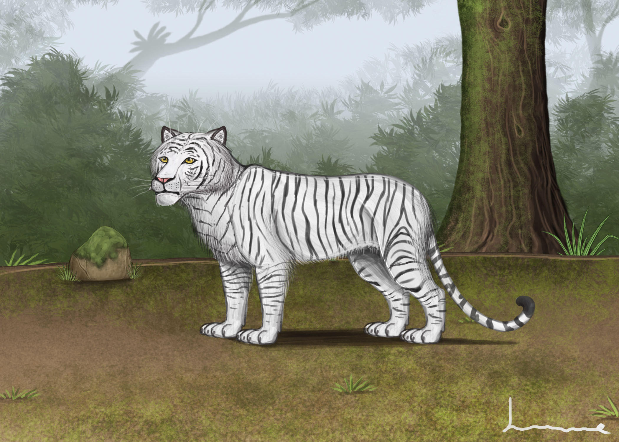 White Bengel Tiger by Louisetheanimator