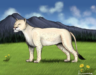 American Lion 2 by Louisetheanimator