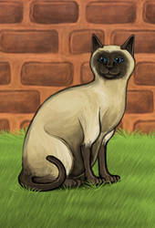 Commission: Siamese Cat Sitting by Louisetheanimator