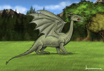 Dragon by Louisetheanimator
