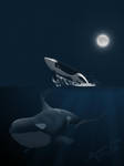 Midnight Orcas by B-Lee