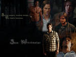 Sam Wallpaper 5 by angiezinha