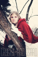 Trash the Dress 5 by CrystalBroussard