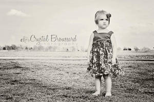 My favorite of the series by CrystalBroussard