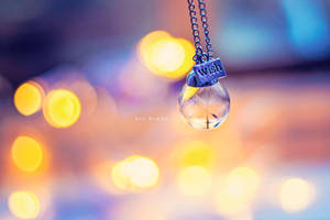 Wishes by Dedina89 Wishes by Dedina89