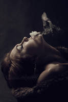 Escape by JosefinaPhotography