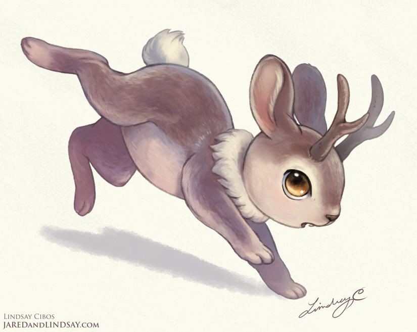 Lil Jackalope by LCibos