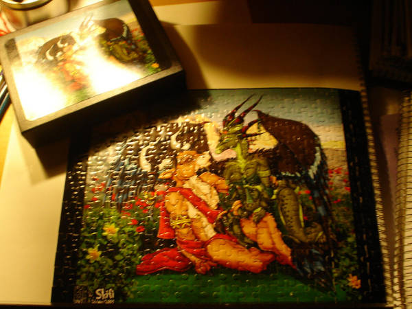 Skifi puzzle photo by FFRedXIII