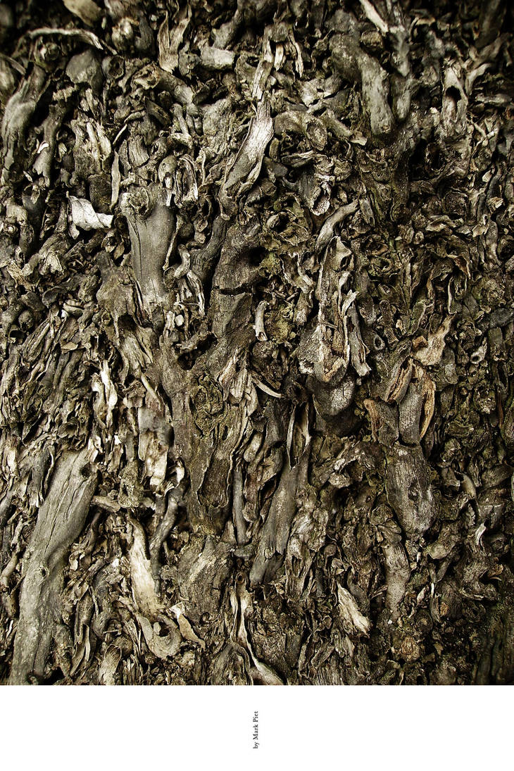 FREE TEXTURE - 0258 by markpiet