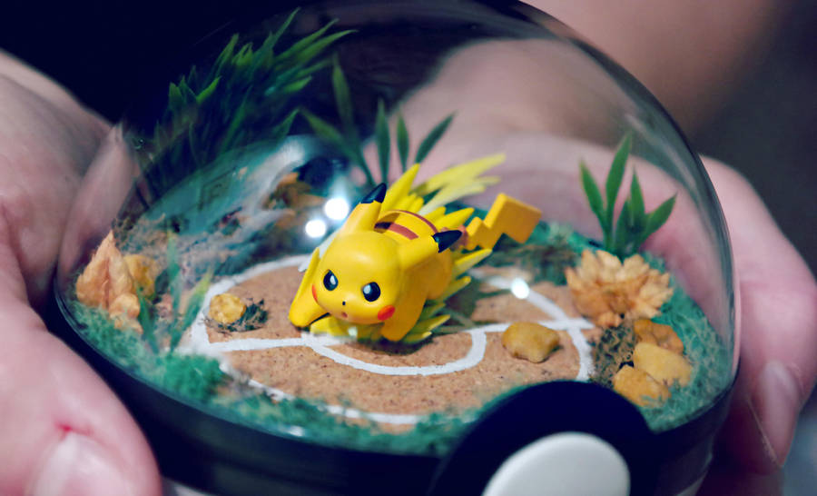 Pikachu Battle Field Close Up -Poke Ball Terrarium by TheVintageRealm Pikachu Battle Field Close Up -Poke Ball Terrarium by TheVintageRealm
