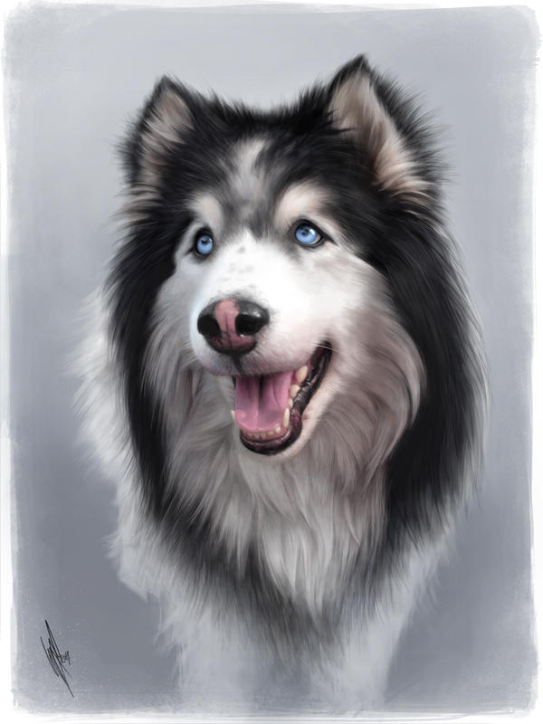 Misha by WarrenLouw