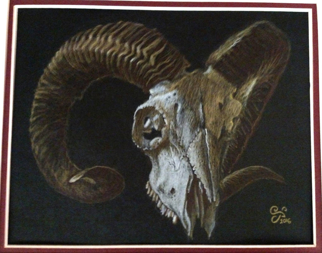 Ram Skull by Kittenpants