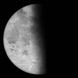 Waning Half Moon by Kittenpants