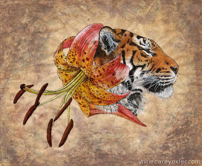 Tiger Lily by Kittenpants
