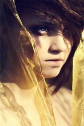 Das goldene Vlies by JessicaBader