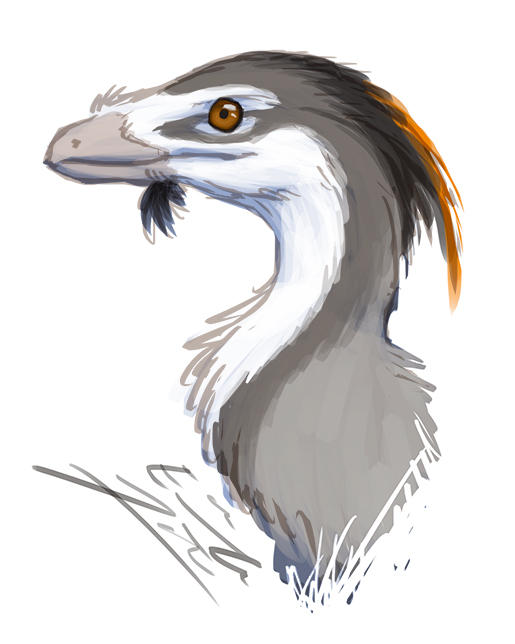 Troodon doodle by Paperiapina