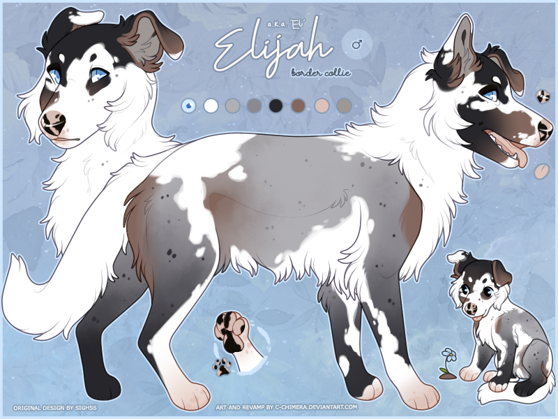 YCH F: German Shepherd Ref Sheet by c-Chimera on DeviantArt
