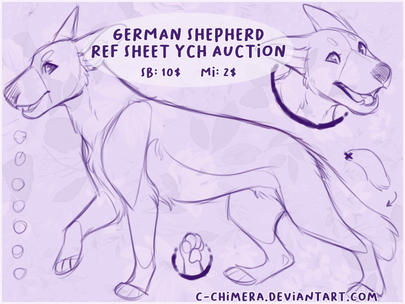 YCH F: Australian Shepherd Ref Sheet by c-Chimera on DeviantArt