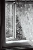 slipping through the window by arvena