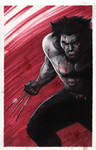 Wolverine by Protokitty