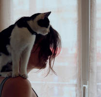 moonlight by moumine