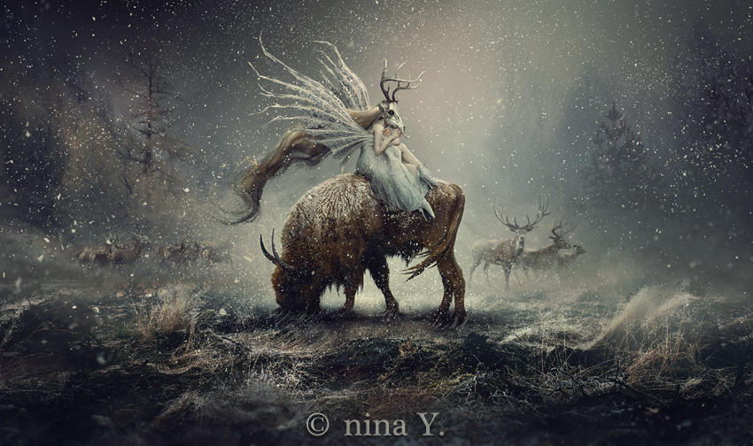 Tales of the North by nina-Y Tales of the North by nina-Y