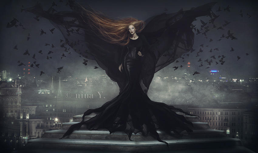 Black Bird's Nightfall by nina-Y Black Bird's Nightfall by nina-Y