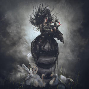 Swansong by nina-Y Swansong by nina-Y