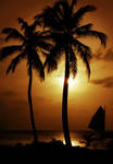 Belize sunset by PangDang