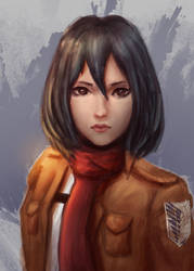 Mikasa by Norvice