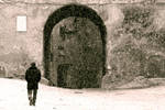 Through the gates of your life by LevyNagy