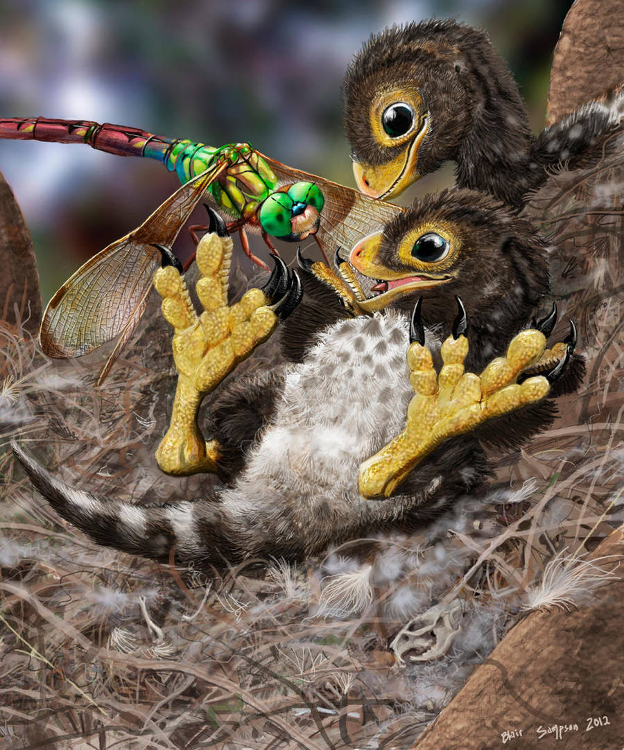 Baby Balaur bondoc corrected deviation by Psithyrus