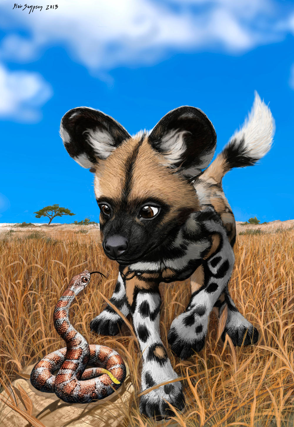 African Wild Dog Pup and Baby Snake Compare Spots by Psithyrus