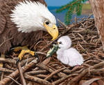 BALD EAGLE FATHER'S DAY CARD by Psithyrus