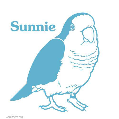 Custom Vinyl Quaker Parrot Sticker by Saintbirdy on DeviantArt