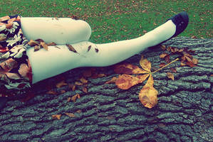 Autumn Legs by SarahCleary