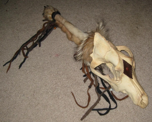 Wolf skull and fur rattle 3 by lupagreenwolf