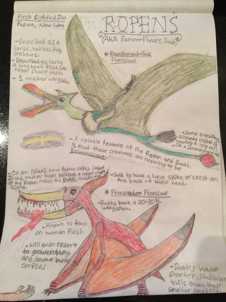 Cryptid Sketch: Ropens (Updated) by Strikerprime on DeviantArt
