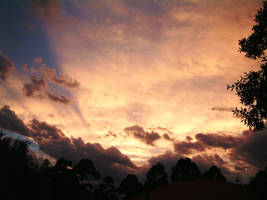 Something beautiful. by Skelemily